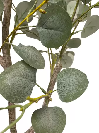 Kunstplant Eucalyptusboom 115cm