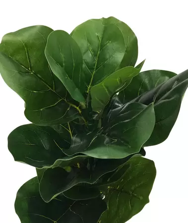 Kunstplant Ficus Lyrata 75cm