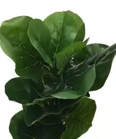 Kunstplant Ficus Lyrata 75cm