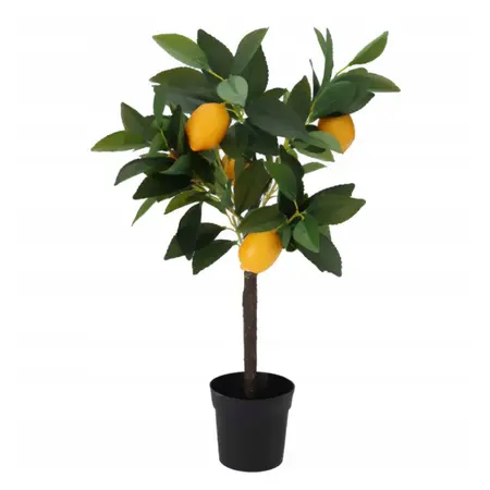 Kunstplant Fruitboom 60cm Assorti 1st