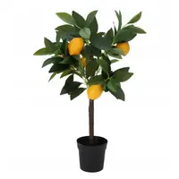 Kunstplant Fruitboom 60cm Assorti 1st