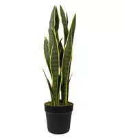 Kunstplant Sansevieria Laurentii 74cm