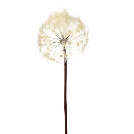 Kunsttak Paardenbloem 91cm