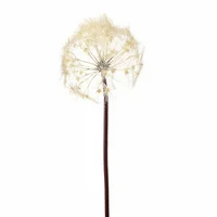Kunsttak Paardenbloem 91cm