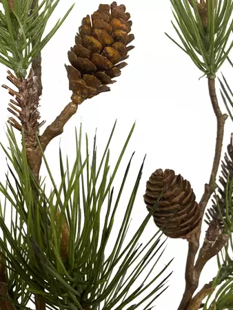 Kunst Pinus Tak met Denappels 155cm