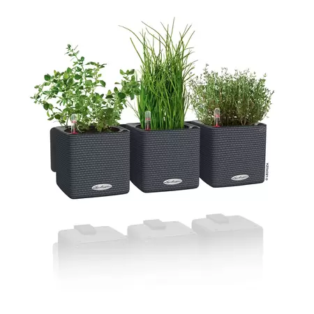 Lechuza Green Wall Home Kit White Glossy - afbeelding 3
