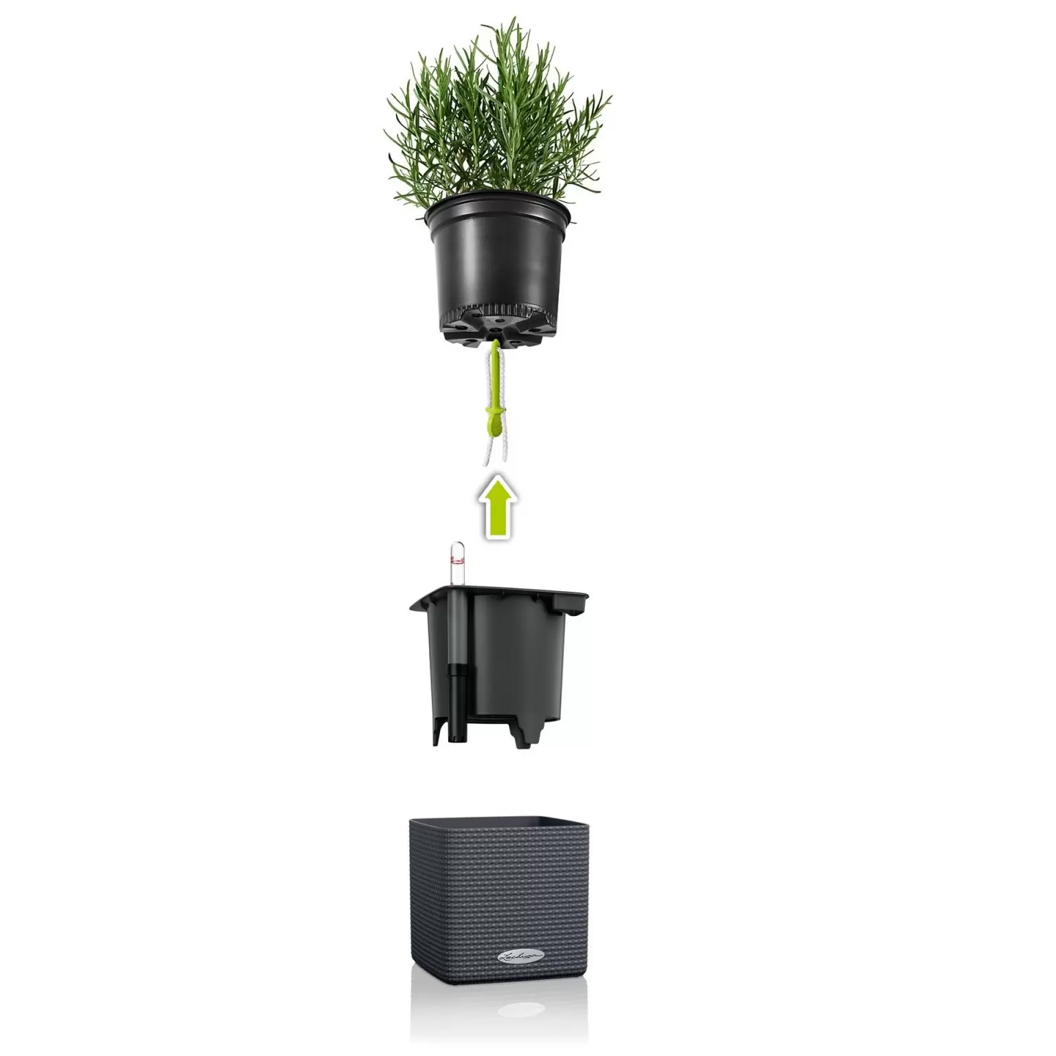 Boekhouding Groot universum Een trouwe Lechuza Green Wall Home Kit | White Glossy | Set van 3 - Tuincollectie.nl