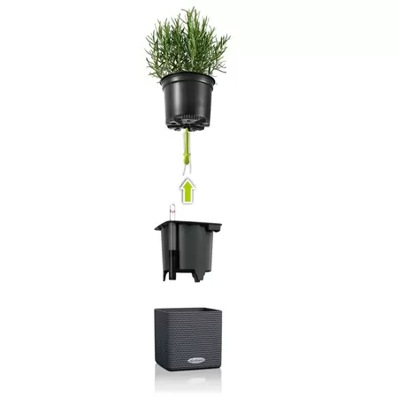 Lechuza Green Wall Home Kit White Glossy - afbeelding 4