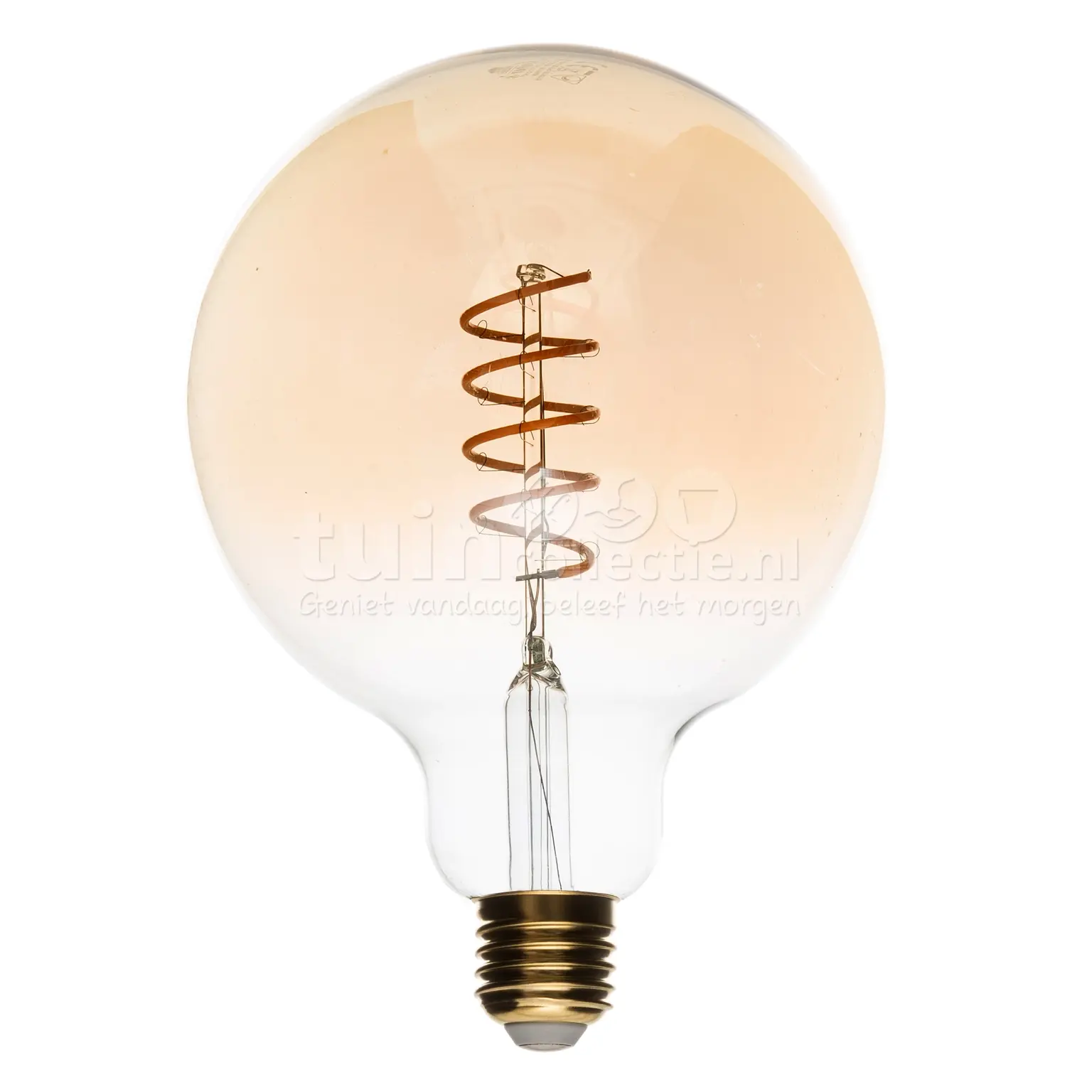 Spiraal Filament Lamp | Goud | Diverse maten - Tuincollectie.nl