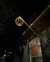 Lichtbol 216 LED Ø50cm Timer + Dimmer