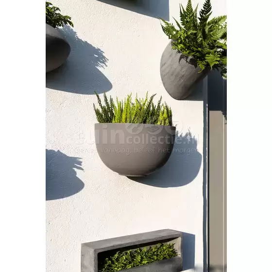 gloeilamp voorspelling Trots Muur Bloempot Wally Peter M | Zwart | Tuincollectie.nl - Tuincollectie.nl