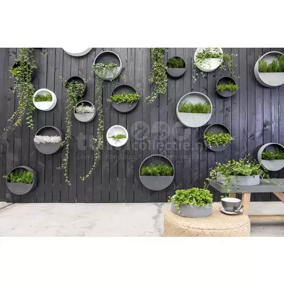 Wally Muur Bloempot | Wand Plantenbak | Wally