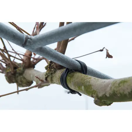 Nature Bindbuis Zwart Ø3mm 50m