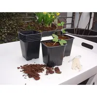 Nature Kweekpot Stekpotjes Kunststof Zwart 9,5cm