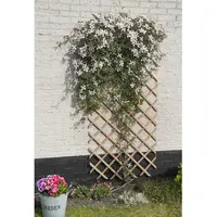 Nature Plantenklimrek Hout 100x200cm
