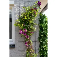Nature Plantenklimrek Metaal 145x57cm Grijs