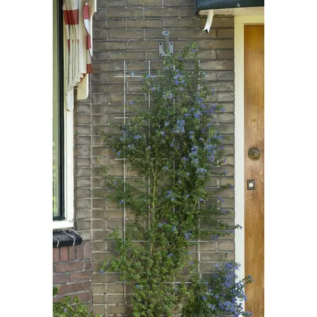 Nature Plantenklimrek Metaal 145x57cm Grijs