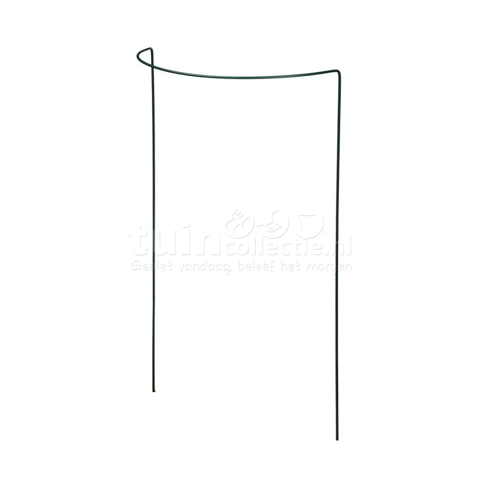 Nature Plantensteun Halfrond Groen 60cm