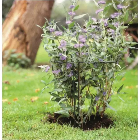 Nature Plantensteun Halfrond Groen 60cm
