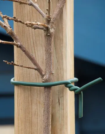 Nature Rubberband met Draad Groen 10m