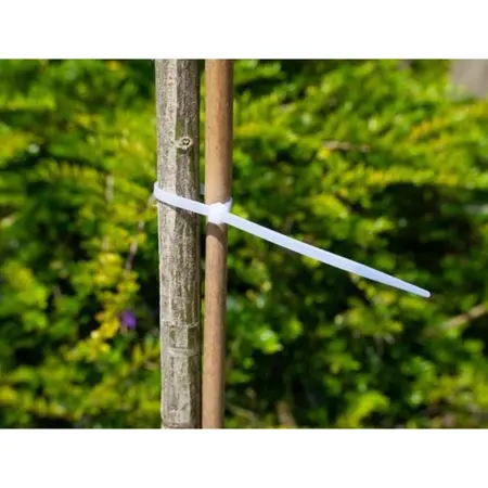 Nature Tyraps Kabelbinders Transparant 30cm 25st