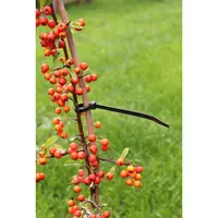 Nature Tyraps Kabelbinders Zwart 30cm 25st