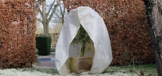 Nature Winterafdekhoes Planten 3x2.5m Wit