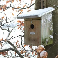 Nestkast Koolmees
