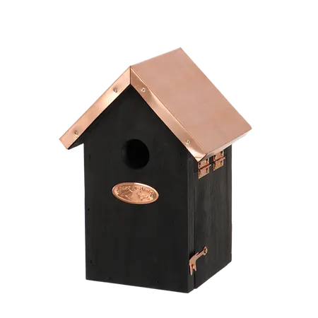 Nestkast Winterkoning Koper Zwart