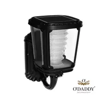 O'Daddy solar wandlamp Talitha