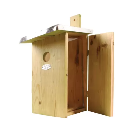 observatienestkast koolmees