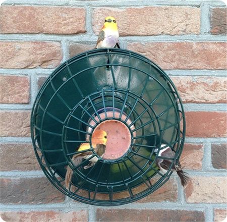 Pindakaaspot Houder Grijs