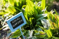 Plantenlabels