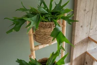 Plantenrek Bloempotten Jette Naturel