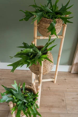 Plantenrek Bloempotten Jette Naturel