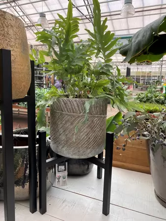 Metalen plantenstandaard Ascot