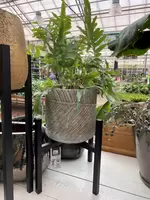 Metalen plantenstandaard Ascot