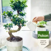 Pokon Bonsai Voeding Bio 250ml