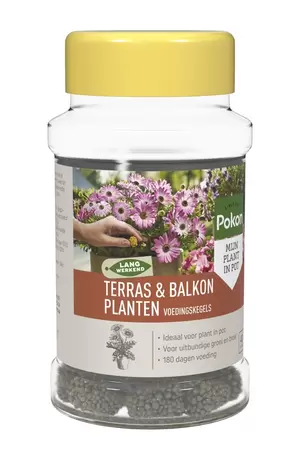 Pokon Meststof Terras en Balkon Voedingskegels 40st