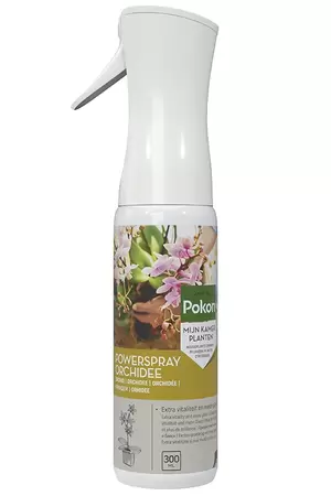 Pokon Orchidee Powerspray 300ml