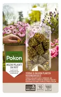 POKON Voedingskegels terras en balkonplanten - 10st