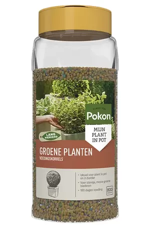POKON Voedingskorrels groene plant 0.8kg