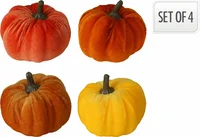 Pompoen Set Velvet 5,5cm 4st