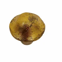 PTMD Decoratie Paddenstoel Hout Goud 11cm