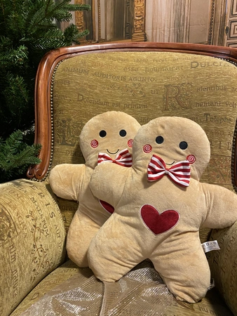 Sierkussen Gingerbread