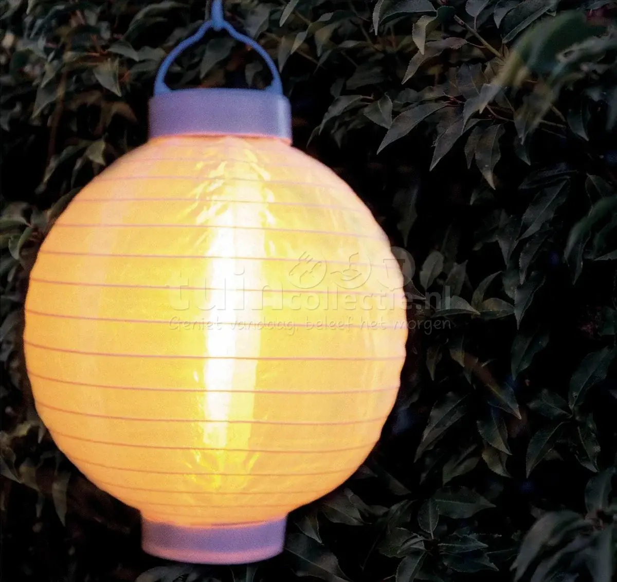 Solar Lampion Met vlameffect | Tuincollectie.nl - Tuincollectie.nl