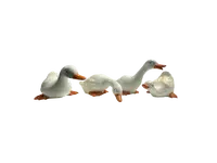 Tuinbeeld Eenden Set 4-delig