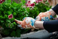 Tuinbenodigdheden
