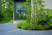 Tuinplanten