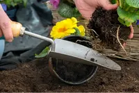 Tuinschepjes